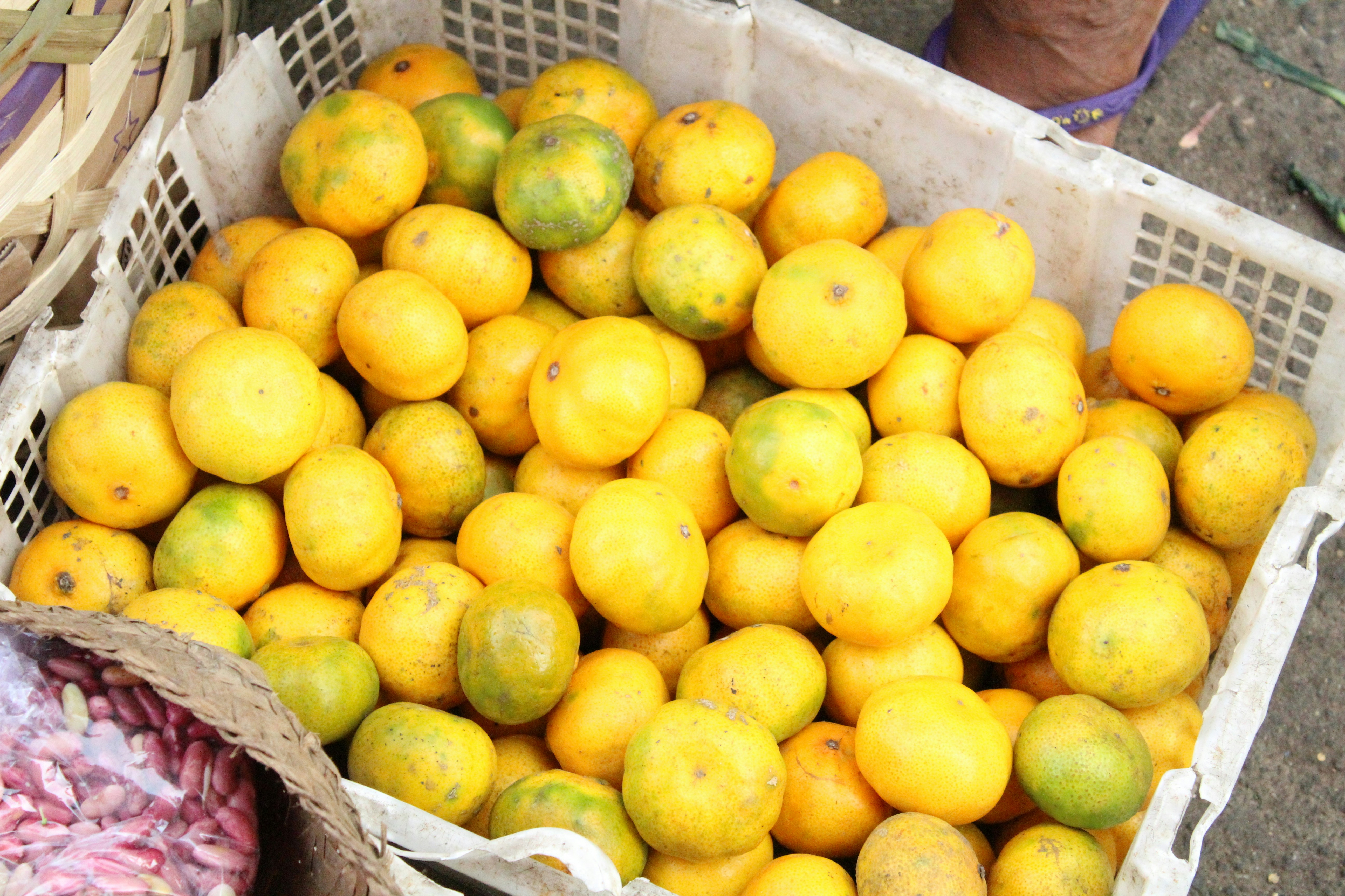 Fruit du yuzu